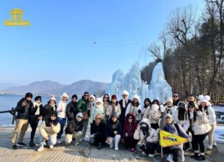 Should You Travel to South Korea Independently or on a Tour?