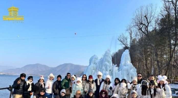 Should You Travel to South Korea Independently or on a Tour?