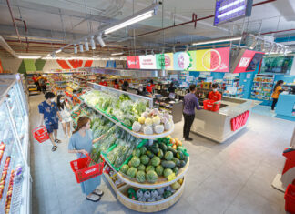 The Leading Retailer in Vietnam: A Decade of Profit