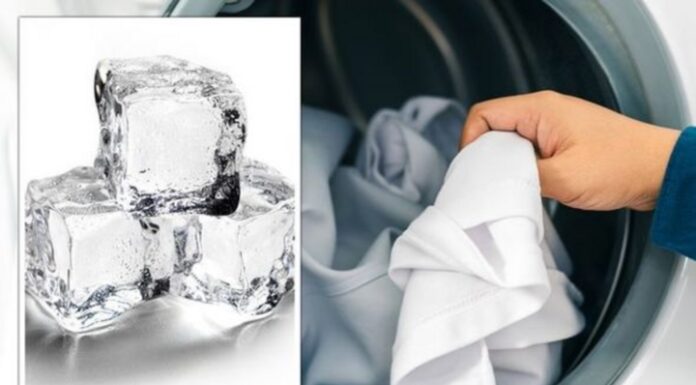 The Surprising Benefits of Adding Ice Cubes to Your Dryer