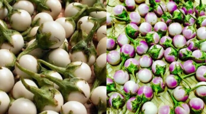 The Ultimate Guide to Crispy, Perfectly Pickled Onions: A Secret Technique Revealed