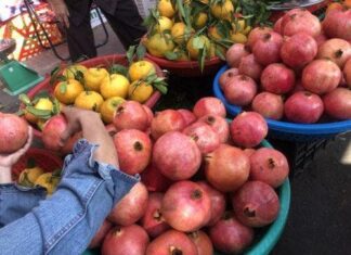 The Ancient’s Wisdom: ‘Mid-Autumn’s Six Fruits for Prosperity and Luck’