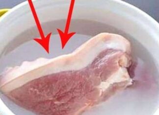 The Ultimate Guide to Quick-Thawing: How to Defrost Food in a Flash While Preserving Freshness