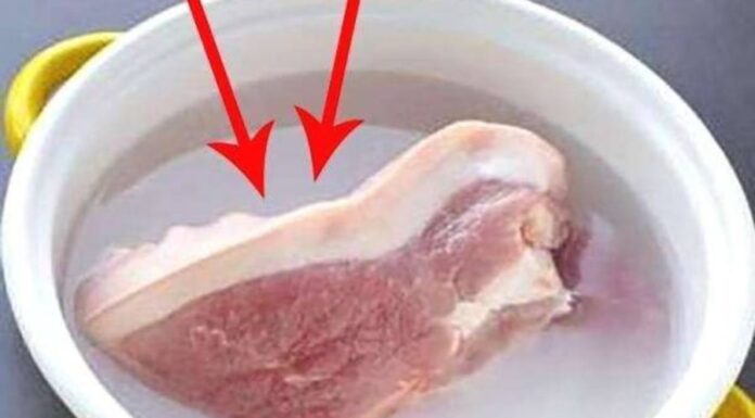 The Ultimate Guide to Quick-Thawing: How to Defrost Food in a Flash While Preserving Freshness