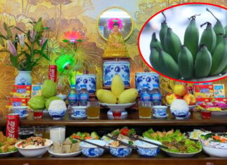 The Do’s and Don’ts of Ancestor Worship: Why Bananas Don’t Belong on the Altar.