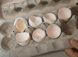 The Magic of Eggshell: A Simple Ingredient with Surprising Benefits and Budget-Friendly Too!