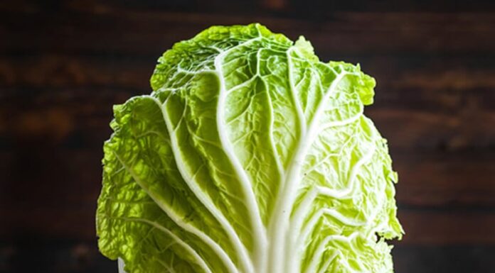 The Ultimate Detox: Unlocking the Power of the ‘King of Cleanse’
Unlock the secrets of the ‘King of Cleanse’ and discover two delicious recipes that will purify your body and rejuvenate your liver.