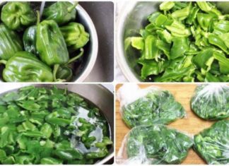 The Ultimate Guide to Vegetable Storage: Keep Your Produce Fresh and Crisp All Year Round