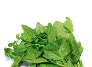 6 Types of Vegetables You Can Grow in Containers for a Fresh and Tasty Harvest While Saving Space