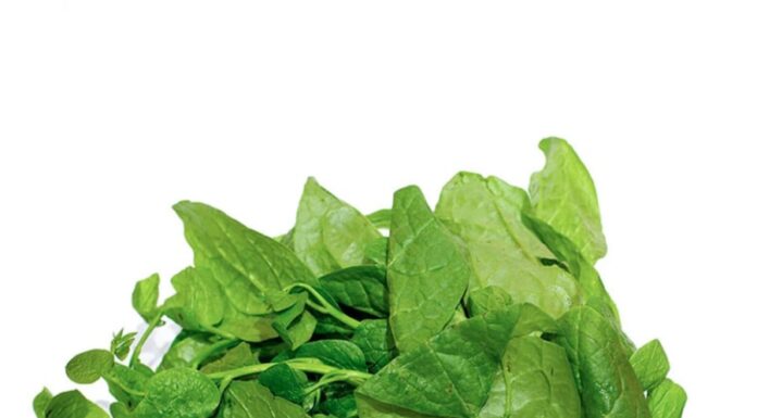 6 Types of Vegetables You Can Grow in Containers for a Fresh and Tasty Harvest While Saving Space