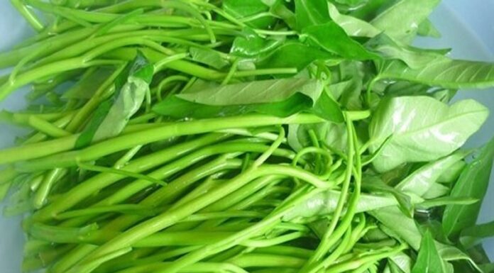 “The Secret to Perfect Stir-Fried Water Spinach: A Crunchy, Delicious Dish That Rivals Any Restaurant”