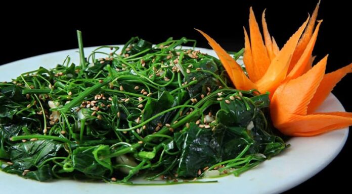 3 Wild-Grown Vegetables That Are Super Healthy: Nature’s Equal to Ginseng and Bird’s Nest, Don’t Overlook These!