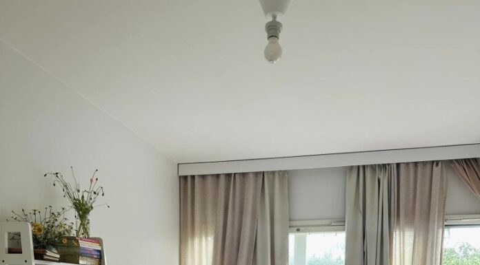 The Life of Huy Khanh’s Ex-Wife and Daughter in Finland: A New Beginning in a Nordic Paradise