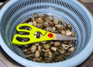 The Ultimate Guide to Cleaning Clams: 3 Trade Secrets to Ensure Every Grain of Sand is Removed
