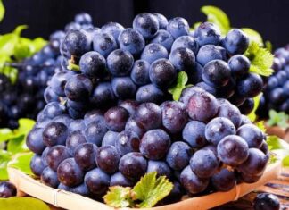 “The Ultimate Guide to Cleaning Grapes: A Sparkling Clean Promise”