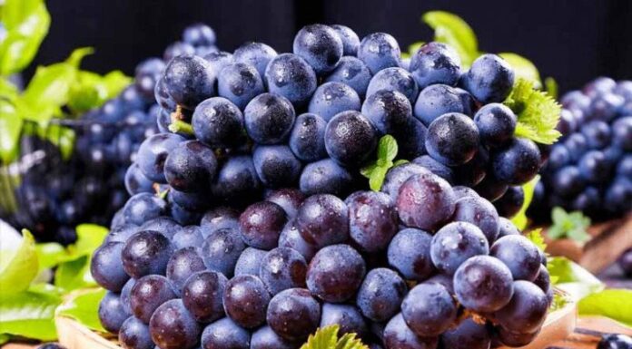 “The Ultimate Guide to Cleaning Grapes: A Sparkling Clean Promise”