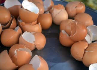 The Ultimate Guide to Egg Shells: A Convenient and Cost-Effective Solution