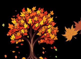 “Shaking the Tree, Leaves Fall; Shaking the Luck, It Shatters” – What Does This Ancient Adage Mean?