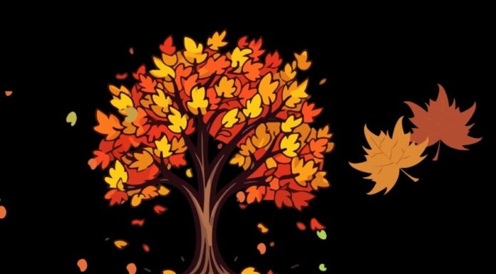 “Shaking the Tree, Leaves Fall; Shaking the Luck, It Shatters” – What Does This Ancient Adage Mean?