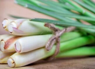 The Ultimate, Affordable Deodorizer: A Quick Fix for a Fresh Smelling Bathroom