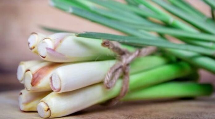 The Ultimate, Affordable Deodorizer: A Quick Fix for a Fresh Smelling Bathroom