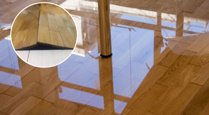 Preventing Cupping in Water-Damaged Wooden Floors