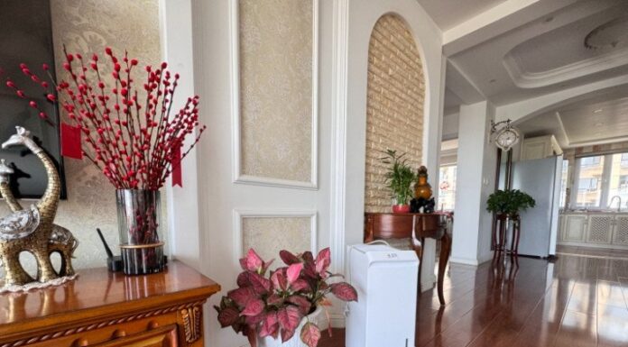 The Ultimate Guide to Buying a Dehumidifier: 5 Essential Criteria You Need to Consider