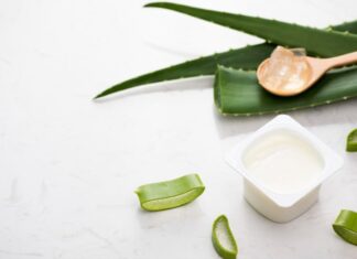 Aloe Vera Bliss: Delicious and Nutritious Smoothie Recipes