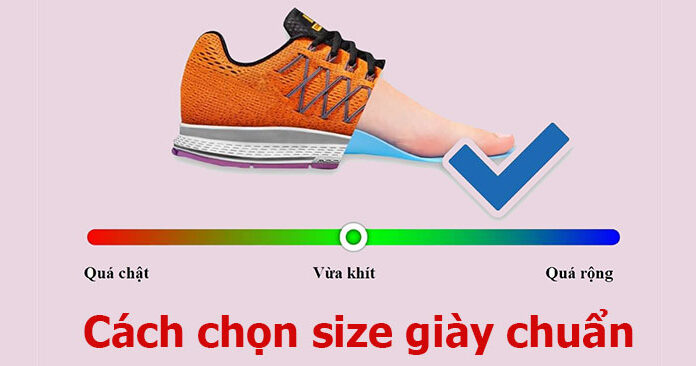 The Ultimate Guide to Finding Your Perfect Shoe Size