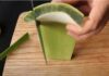 The Ultimate Guide to Preparing Aloe Vera: A Step-by-Step to a Bitter-Free, Goo-Free Experience