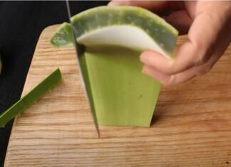 The Ultimate Guide to Preparing Aloe Vera: A Step-by-Step to a Bitter-Free, Goo-Free Experience