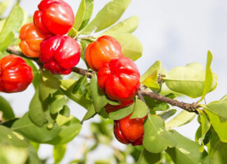 How to Choose Sweet, Nutritious Strawberries