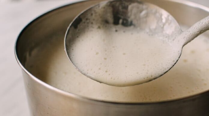 “The Three Houseplant Enthusiasts: Unveiling Their Love for Soy Milk”