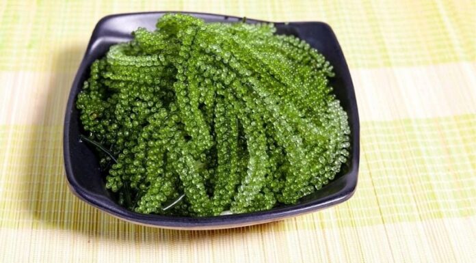 4 Delicious Dishes With Seaweed That Are Beauty and Weight-Loss Superfoods