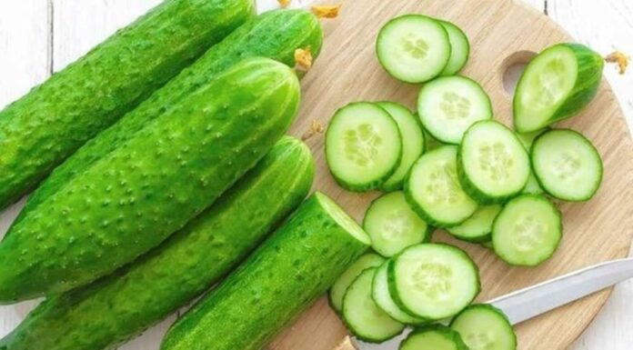 Why Do Cucumbers Turn Bitter and Is It Safe to Eat Them?