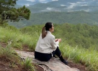 The Ultimate Guide to Hanoi Hannah’s Favorite Dalat Getaways: Unveiling the Chillest Spots in Vietnam’s Dreamy Highlands