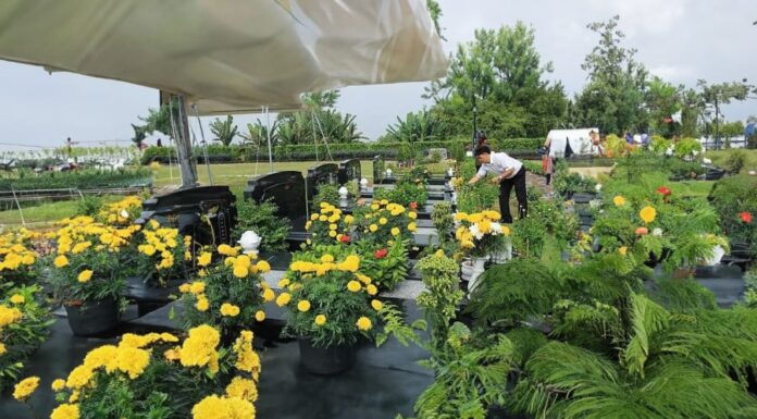 Why the Elderly Advise: Avoid Visiting Graves at 80 and Overnight Stays at 70.