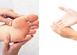 The Ancient Wisdom: “Small Feet for Women, Large Hands for Men” – What Does This Say About the Ideal Person?