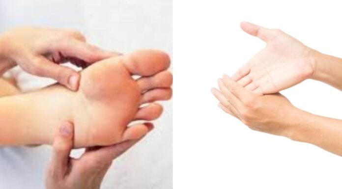 The Ancient Wisdom: “Small Feet for Women, Large Hands for Men” – What Does This Say About the Ideal Person?