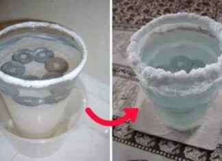 The Haunting Season: A Pinch of Salt to Ward Off Evil and Misfortune