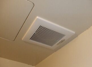 The Ultimate Money-Saving Hack: A Toilet Trick That Won’t Cost You a Fortune!