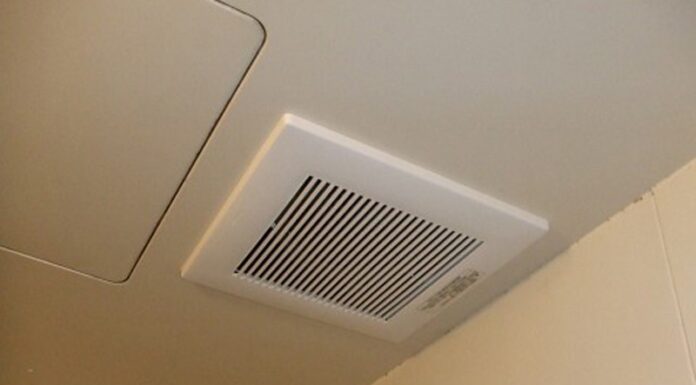 The Ultimate Money-Saving Hack: A Toilet Trick That Won’t Cost You a Fortune!