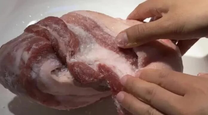 The Ultimate Meat Tenderizer: Transform Tough Meat into Tender Delights in Minutes