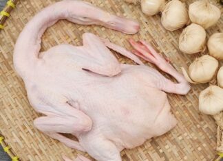 The Ultimate Meat to Combat Cough: More Affordable than Pork, More Nutritious than Ginseng Bird’s Nest