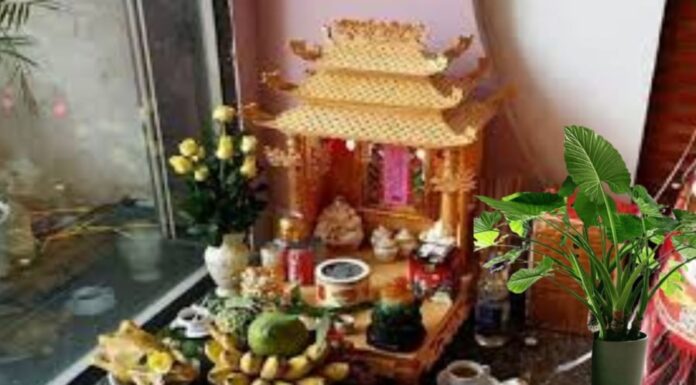 The God of Wealth Deserves a Higher Place: Should We Raise the Altar?