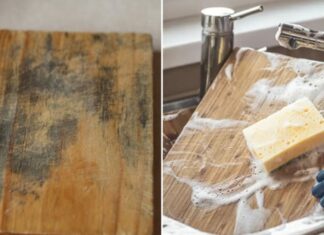 The Ultimate Guide to Cutting Board Care: Sun, Boil or Sterilize?