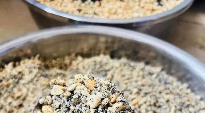 The Ultimate Delicacy: From Humble Beginnings to a City-Wide Sensation.