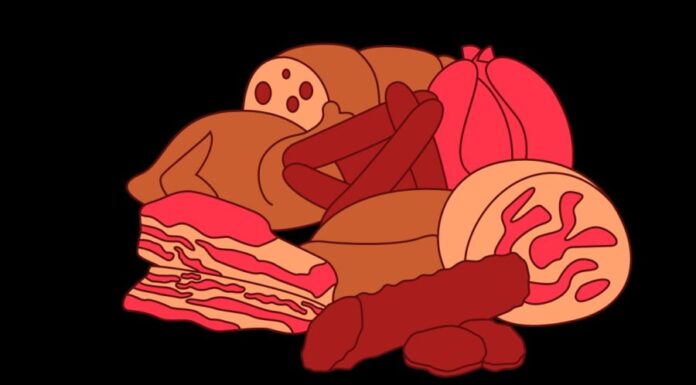 Why Do Humans Eat Herbivores Instead of Carnivores? The Surprising Reason.