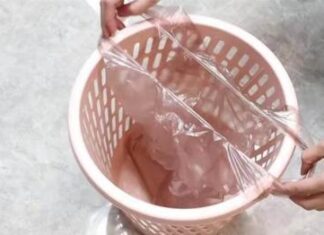 The Magic of Chopstick Composting: A Surprising Eco-Friendly Practice You Need to Know