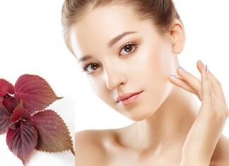 5 Beauty Tips Using Perilla Leaves for Safe and Natural Skin Whitening